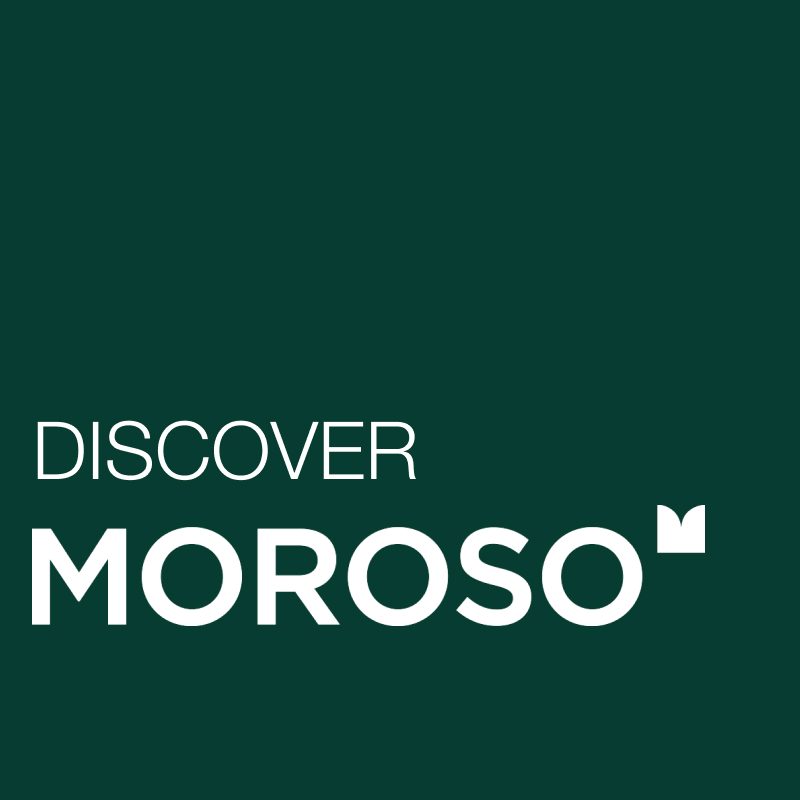 Discover_Moroso